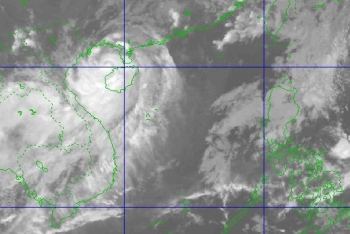 Tin mới nhất về bão số 1