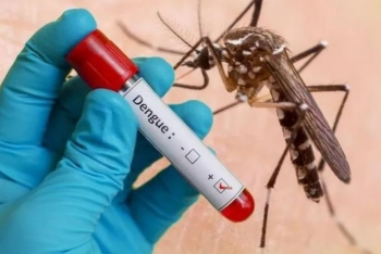 Bệnh sốt xuất huyết ngày càng khó lường