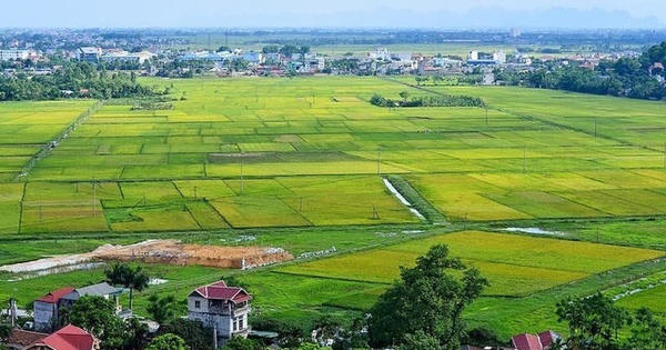 Mua đất do thôn tổ chức đấu giá, khi Nhà nước thu hồi có được bồi thường?