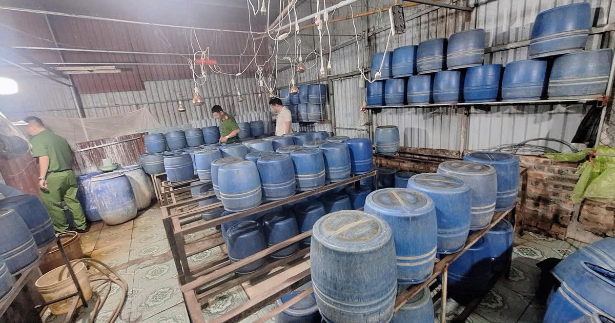 Chủ cơ sở sản xuất gần 800kg giá đỗ bằng chất cấm ở Hưng Yên