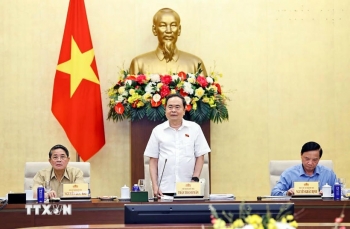 Chủ động rà soát văn bản quy phạm pháp luật