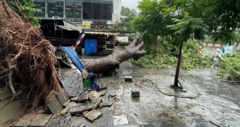 Chỉ đạo của Ban Bí thư về việc ứng phó với cơn bão số 3
