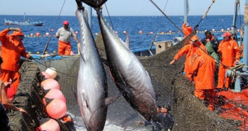 Thủ tướng chỉ đạo "gỡ điểm nghẽn", đẩy mạnh chế biến sâu cà phê và xuất khẩu cá ngừ