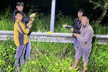 Khởi tố nhóm đối tượng trộm cắp dây điện tại Khu du lịch quốc gia Hồ Tuyền Lâm