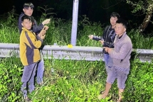 Khởi tố nhóm đối tượng trộm cắp dây điện tại Khu du lịch quốc gia Hồ Tuyền Lâm