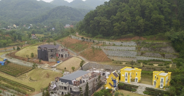 Hà Nội: Xét xử 4 cựu cán bộ xã vi phạm quy định quản lý đất rừng