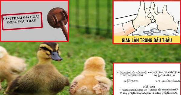 Hà Nội: Trung tâm Khuyến nông Hà Nội cấm 2 nhà thầu tham gia đấu thầu trong 4 năm