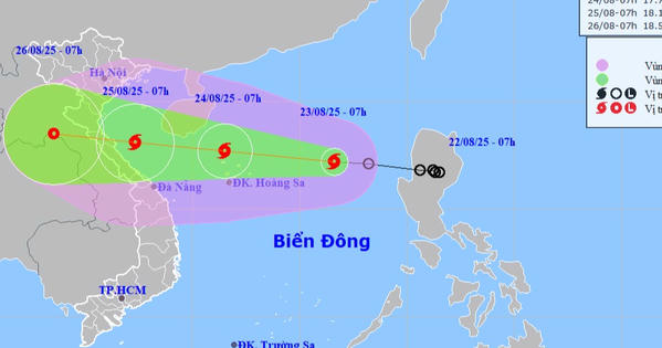 Tin bão khẩn cấp – cơn bão số 5