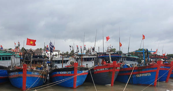Kêu gọi tàu thuyền vào nơi tránh trú an toàn trước khi bão số 5 đổ bộ