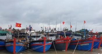Kêu gọi tàu thuyền vào nơi tránh trú an toàn trước khi bão số 5 đổ bộ