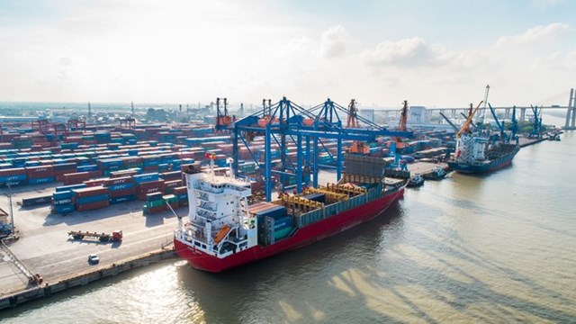 Kinh doanh sụt giảm, Cảng Đình Vũ (DVP) vẫn chi 40 tỷ đồng hoàn tất trả cổ tức "khủng" 80%