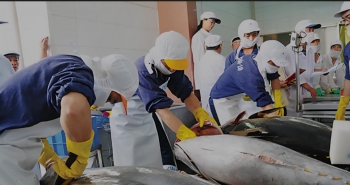 Bộ Công Thương lên tiếng trước nguy cơ Hoa Kỳ có thể dừng nhập khẩu một số loại thủy sản