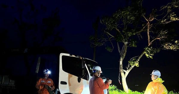 Huy động hơn 800 nhân lực xung kích chuẩn bị khắc phục cung cấp điện sau bão số 10