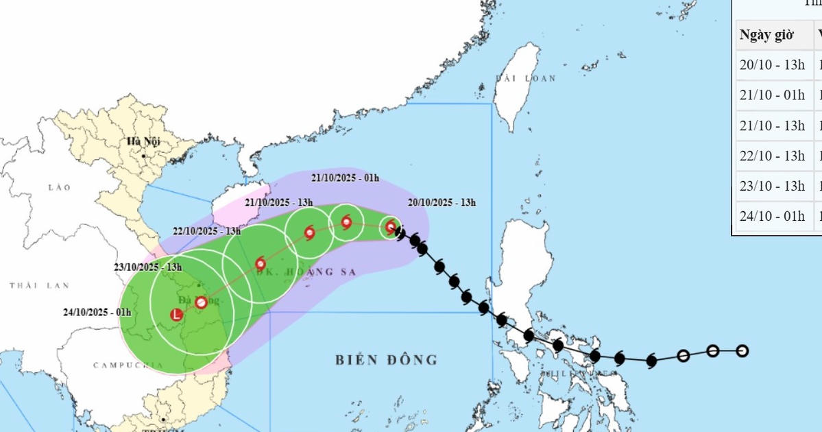 Khu vực nào chịu ảnh hưởng khi bão số 12 đổ bộ?