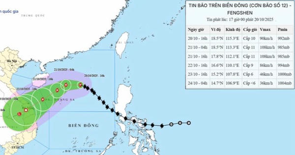Thủ tướng yêu cầu chủ động ứng phó bão số 12 và mưa lũ, tuyệt đối không để xảy ra bất ngờ