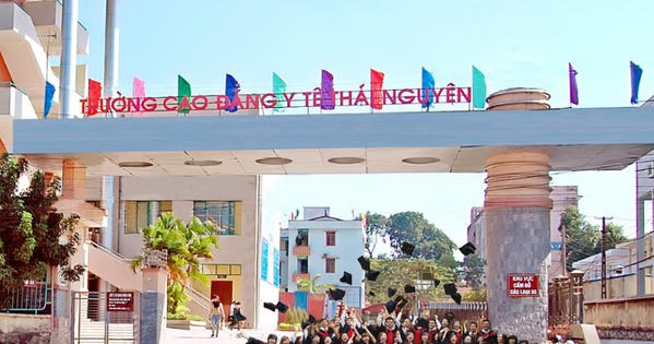 Sáp nhập 2 trường cao đẳng y tế vào 2 trường Đại học