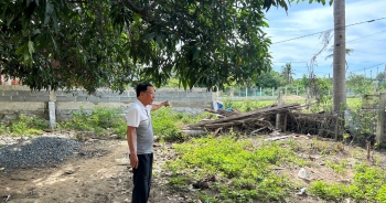 Vụ kiện phát sinh từ việc "sai số đo đất" cấp sổ đỏ ở Khánh Hòa