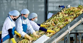 Phó Thủ tướng Trần Hồng Hà chỉ đạo khắc phục cảnh báo của EU về thực phẩm xuất khẩu