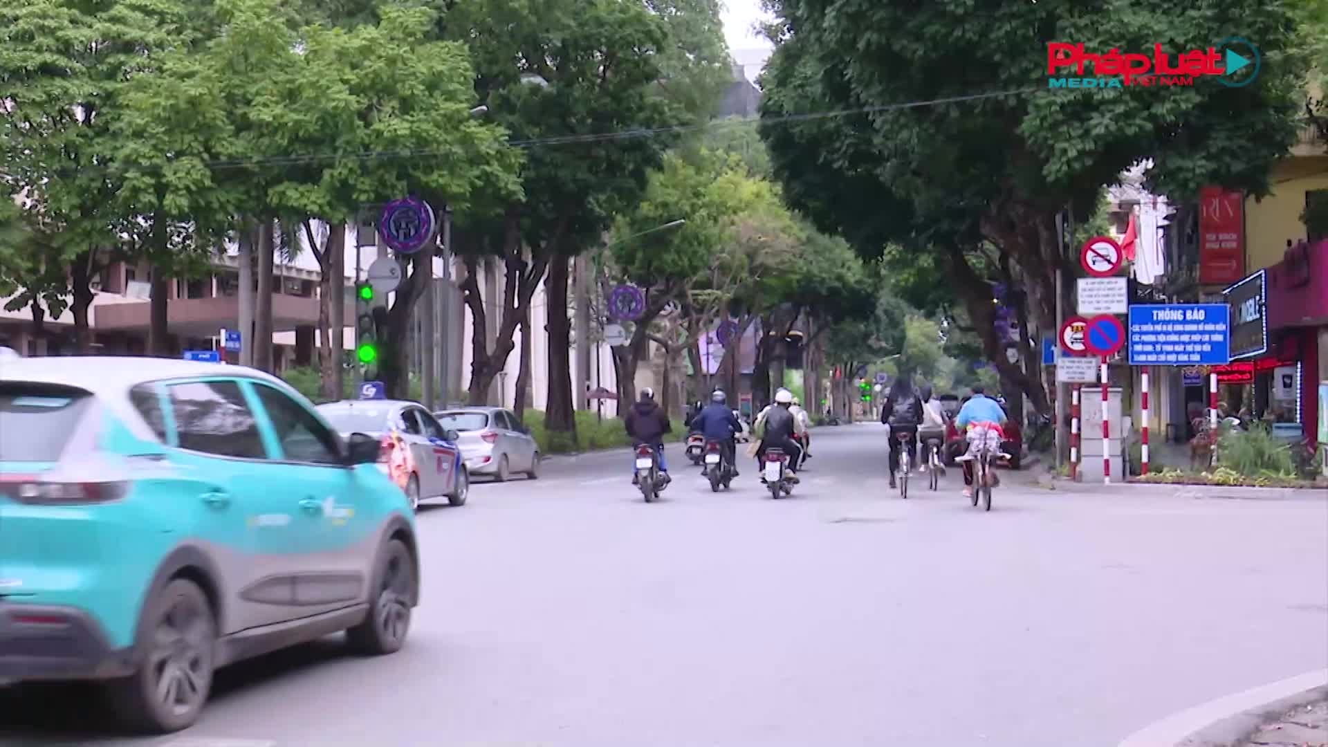 Nhiều biển báo giao thông bị che khuất gây khó khăn cho người đi đường