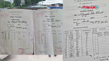 Bắc Giang: 2 thửa đất cấp chồng 3 cuốn sổ đỏ, ra toà nhưng vẫn chưa có hồi kết