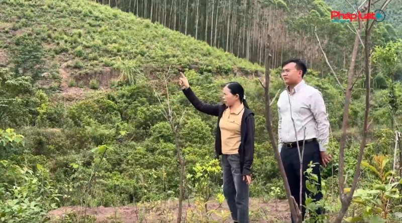 Quảng Ninh: Người dân kiến nghị xem xét lại quyết định thu hồi đất Dự án Nhà máy xử lý rác thải công nghiệp Đông Triều