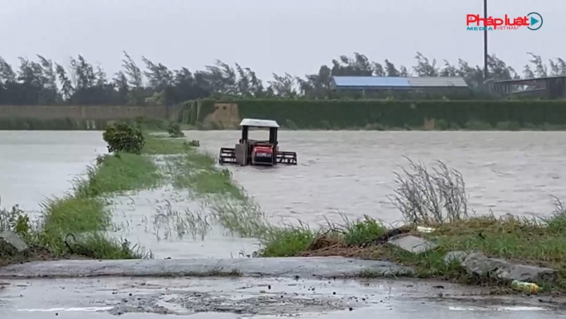 Ninh Bình: Ảnh hưởng của cơn bão số 3, hơn 1.500ha hoa màu của xã Hải Thịnh bị ngập trắng
