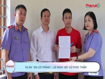 Vụ án “gà lôi trắng”: Lùi ngày xét xử phúc thẩm