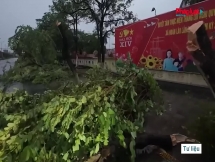 Chuyên gia lý giải nguyên nhân vụ giông lốc kinh hoàng tại Ninh Bình khiến 9 người tử vong