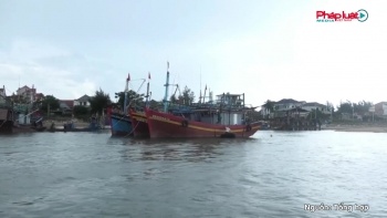 Bão số 12 “Fengshen” áp sát miền Trung – nguy cơ mưa lớn, lũ quét và sạt lở