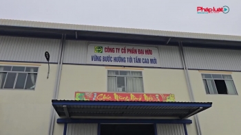 Tai nạn lao động khiến 1 công nhân tử vong