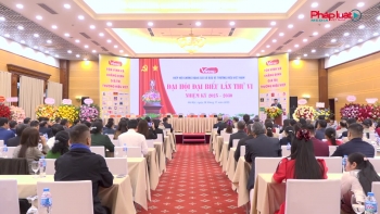 Chủ tịch Công ty Cổ phần Tập đoàn Vianco được tín nhiệm bầu giữ chức Phó Tổng Thư ký Hiệp hội VATAP