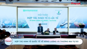 Hợp tác kinh tế quốc tế về năng lượng và thương mại tự do