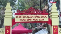 Chợ hoa xuân Tết 2026: Đông người xem, vắng khách mua