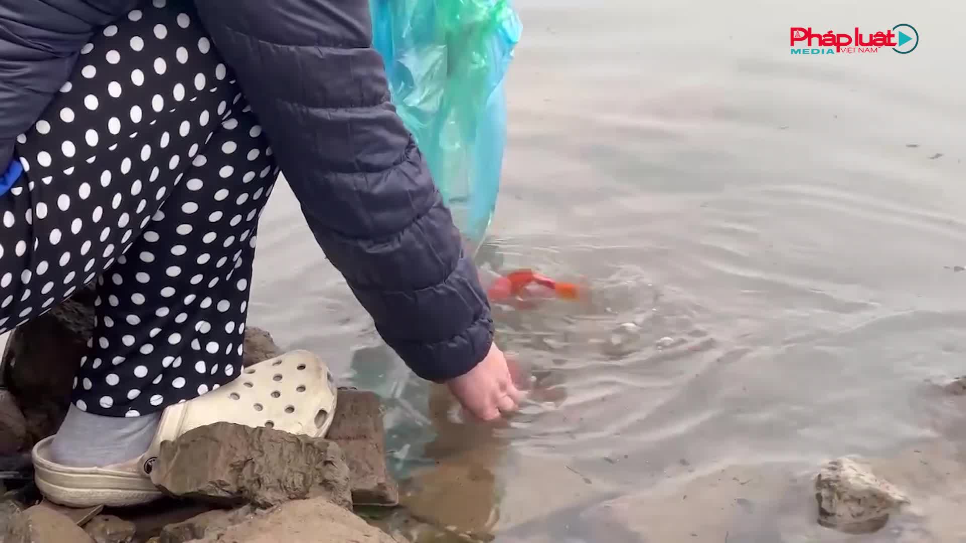 Lan tỏa hành động ý nghĩa ngày 23 tháng Chạp : Cứu dòng nước, rước ông Táo