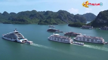 Quảng Ninh điểm đến lý tưởng đối với du khách trong năm 2026