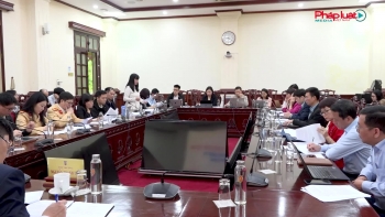 Bộ Tư pháp: Đẩy nhanh tiến độ, đảm bảo chính xác báo cáo Bộ Chính trị về kiểm soát thủ tục hành chính