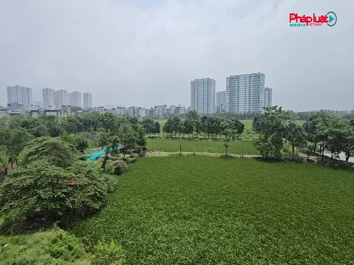 Hà Nội tạo cơ chế ưu đãi phát triển các loại hình nhà ở