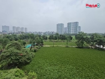 Hà Nội tạo cơ chế ưu đãi phát triển các loại hình nhà ở