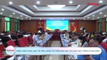Hoàn thiện pháp luật về tiền lương tối thiểu đáp ứng yêu cầu phát triển và hội nhập