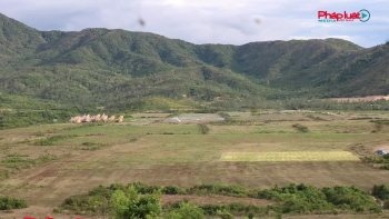 Không quân Việt Nam hoàn thành xuất sắc nhiệm vụ diễn tập bắn, ném bom, đạn thật năm 2026