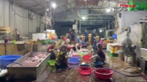 Hà Nội: Phát hiện một cơ sở giết mổ gia cầm có dấu hiệu không đảm bảo vệ sinh an toàn thực phẩm?