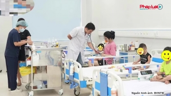 Điểm tin Y tế số 13: Bé trai 8 tuổi sốc phản vệ nguy kịch sau khi bị ong vò vẽ đốt