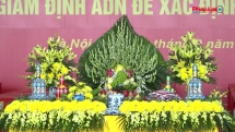 Chuyến bay thứ 2 đưa 13.563 mẫu hài cốt liệt sĩ về Thủ đô Hà Nội xác định danh tính