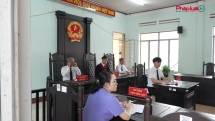 Nhà hàng Vườn sinh thái Mái lá phải đền bù cho 3 người bị sốc phản vệ sau khi ăn món vách bò um cà đắng
